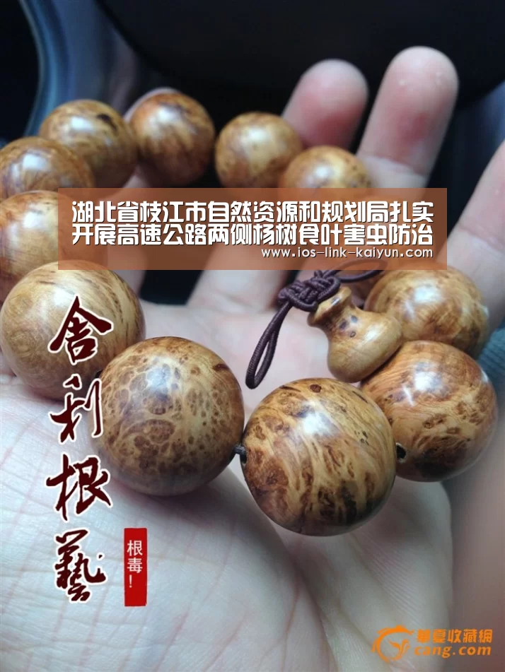 开元棋牌官方下载
